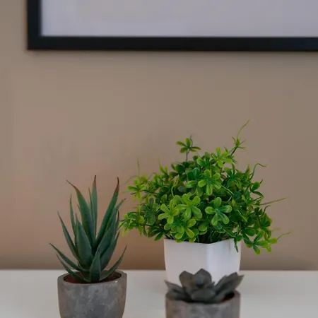 Poe-tehani - Design - Centre