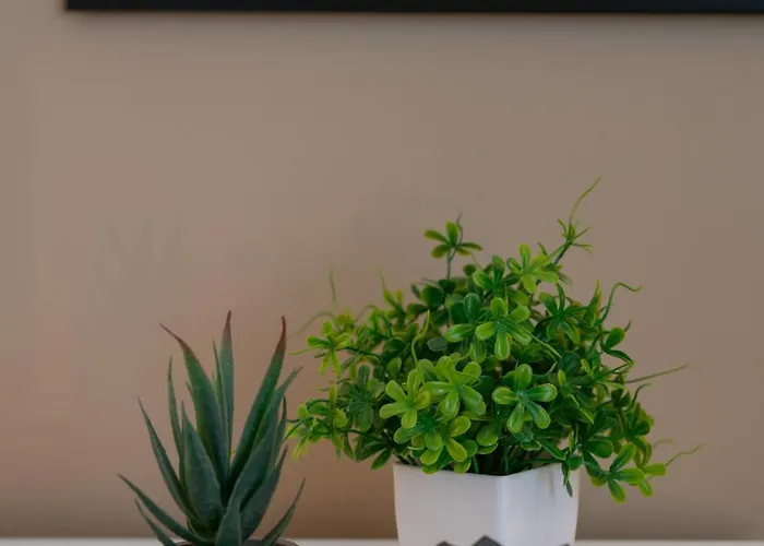 Poe-tehani - Design - Centre